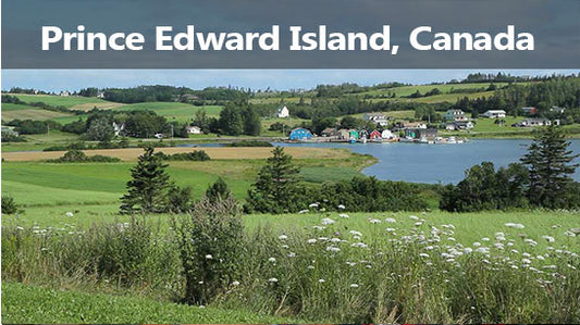 Where can I find stock footage of Prince Edward Island?