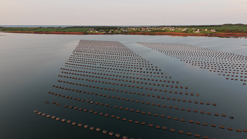 Drone aerial flight over oyster cages. Darnley Basin, PEI, Canada. 4K