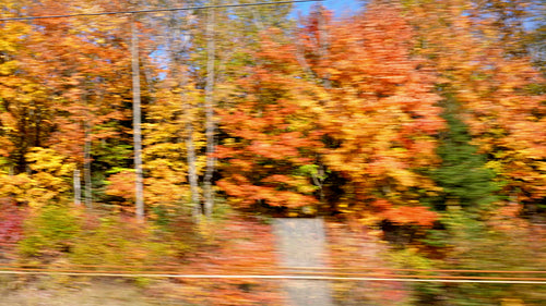 Driving past fall colours. Passenger POV view. Autumn in Ontario, Canada. 4K.