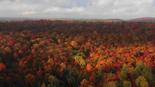 Drone flight over gorgeous fall landscape. Epic romantic light. Ontario, Canada. 4K.