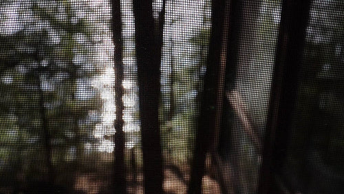 View through cottage screen. Forest and sparkling lake below. HD.