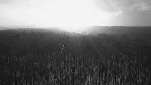 Drone flight into sun with snow falling. Beautiful light. ON, Canada. Black and white. 4K.