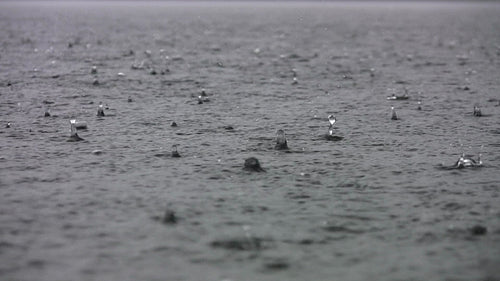 Heavy rain on the lake with sound of thunder. HDV footage. HD.