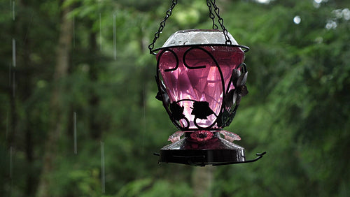 Purple hummingbird feeder in rain with green forest background. 4K.