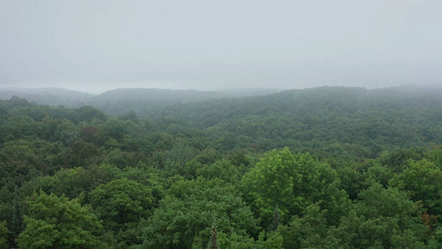 Slow drone flight over misty summer forest. Hilly landscape. Mysterious vibe. 4K.