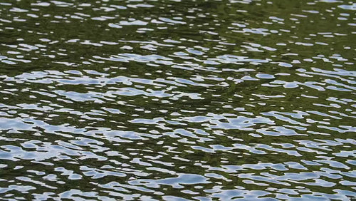 Slow motion shot of lake surface with green and blue reflections in water. HD.