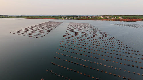 Drone aerial flight over oyster cages. Darnley Basin, PEI, Canada. 4K