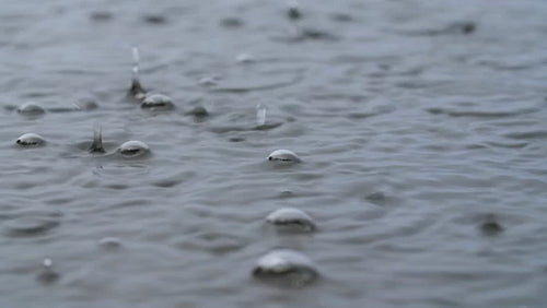 Closeup with shallow DOF. Rain falling with bubbles on grey lake surface. 4K.