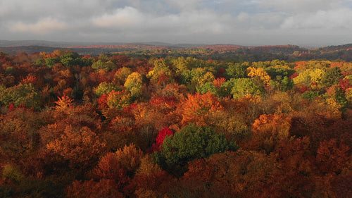 Drone flight over beautiful fall landscape. Epic romantic light. Ontario, Canada. 4K.