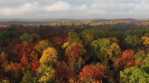 Beautiful autumn landscape. Reverse drone flight over forest. Ontario, Canada. 4K.