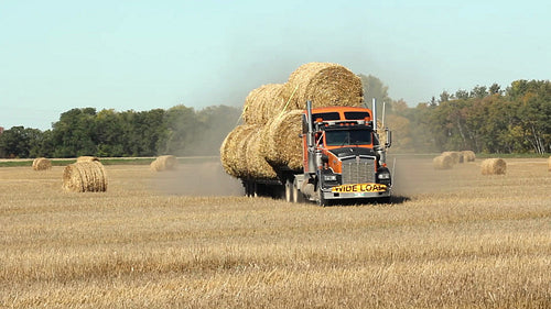 Truck loaded with haybales driving off field. Two shots. Manitoba, Canada. HD.