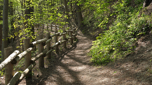 Sunlit spring path in the Don Valley. Springtime in Toronto, Ontario, Canada. 4K.