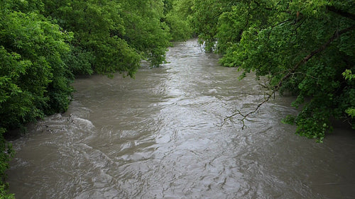 Flooded summer river in slow motion. Don River, Toronto, Canada. HD.