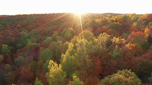 Beautiful autumn valley. Drone flight with tilt up to sun. 4K.