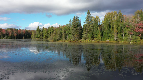 Drone flight over autumn wetland lake. Ontario. 4K.