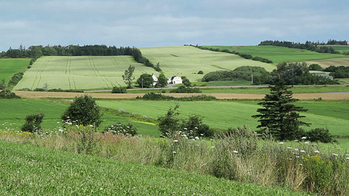 Farmland and fields. Community of French River, Prince Edward Island. HD.