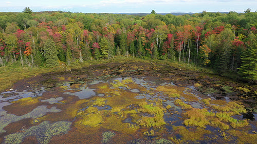 Drone flight over wilderness wetlands. 4K.