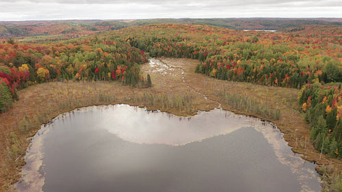 Drone flight high over autumn, wetlands lake and swamp. 4K.