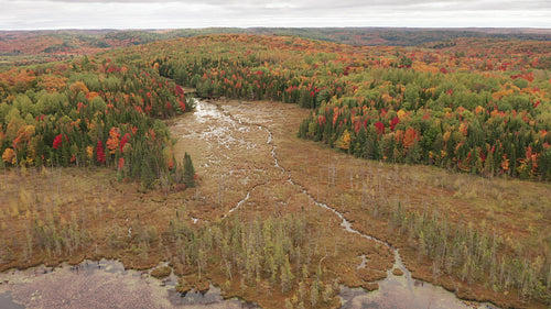 Drone flight high over autumn wetlands and swamp. 4K.